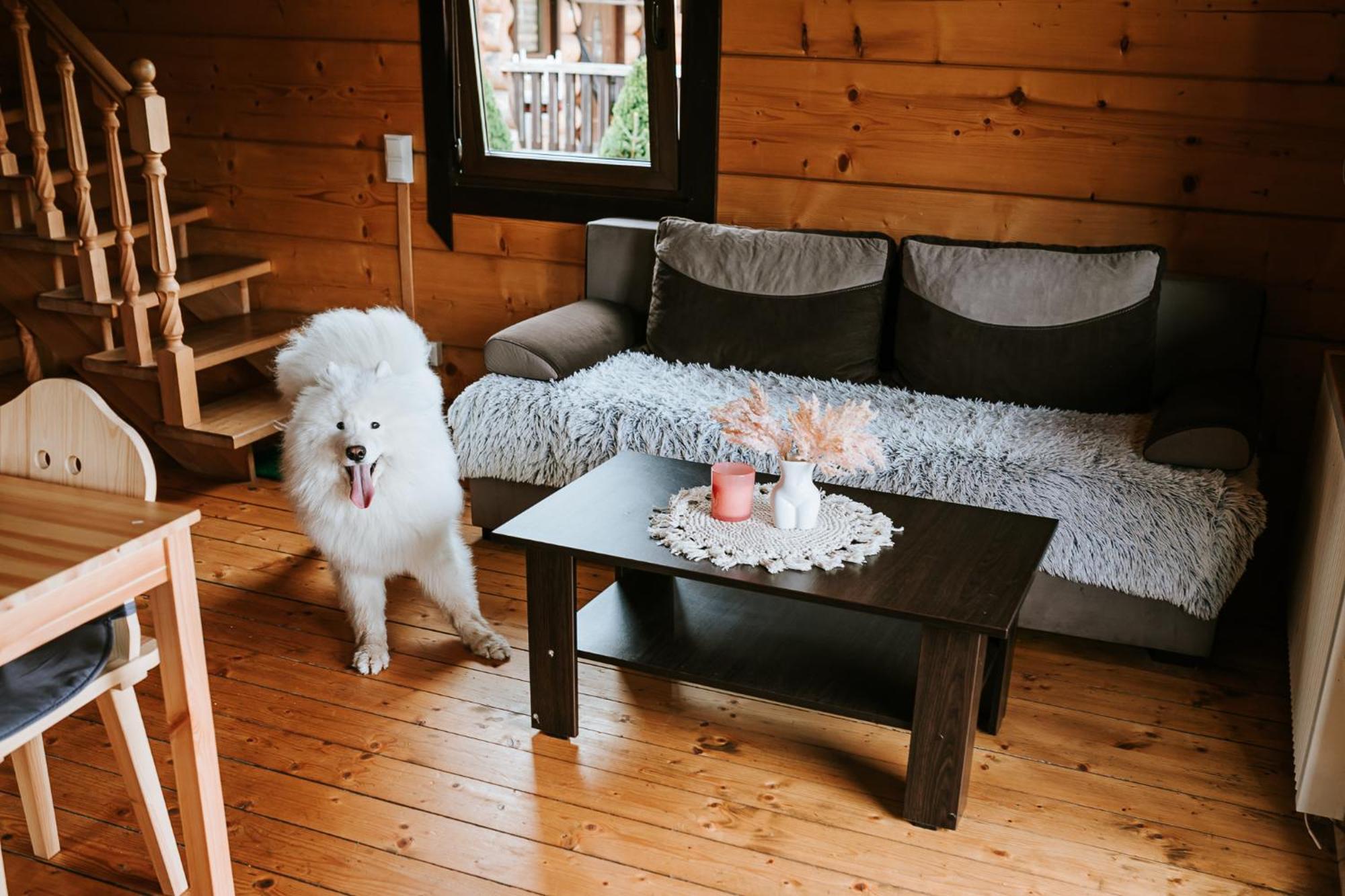 Chatki Góralskie Rabka Exterior foto